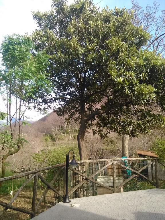 Casa Giordano Villa ตรามอนติ ภายนอก รูปภาพ